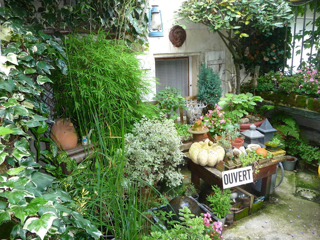 Bed and Breakfast Escale de Loire Chouzé-sur-Loire Exterior foto